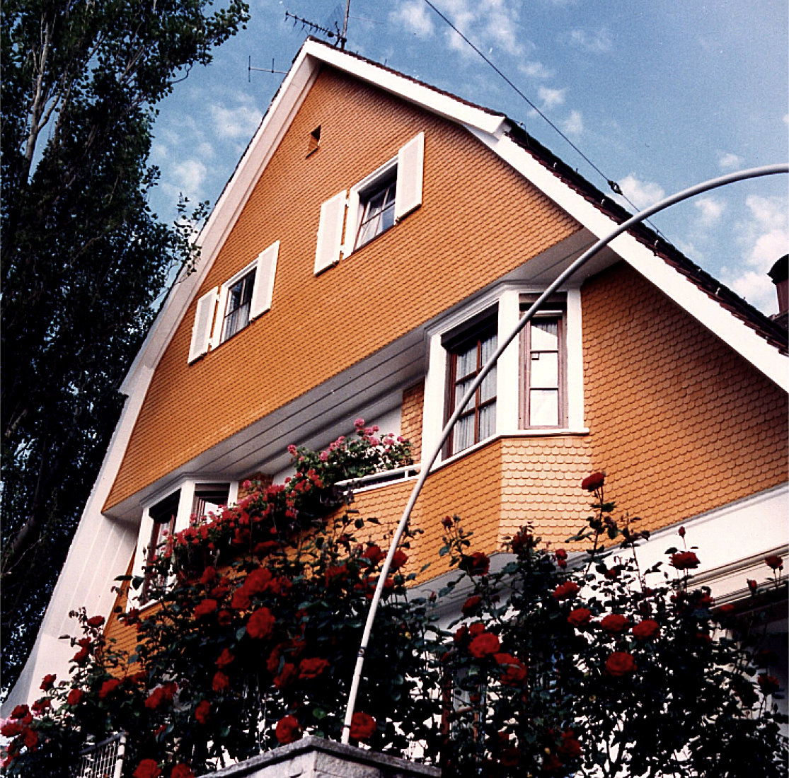 Fichten-Schindelelemente 70x180 stutzeck Fichten-Schindelelemente 70x180 stutzeck